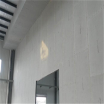翔安宁波ALC板|EPS加气板隔墙与混凝土整浇联接的实验研讨